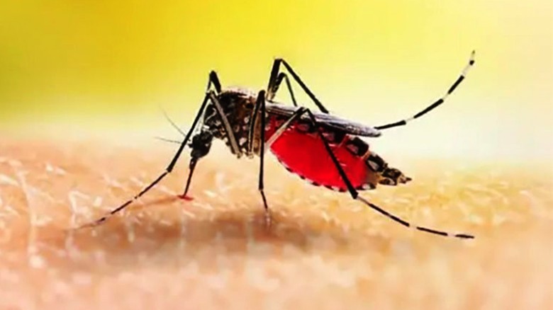 সারাদেশে ডেঙ্গু জ্বরে আরও ২ জনের মৃত্যু, হাসপাতালে ভর্তি ৫৬৫ জন