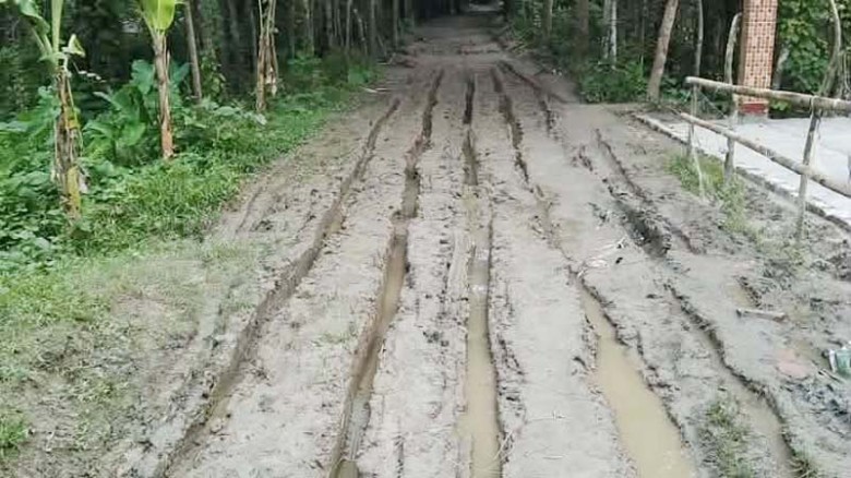 হাজার কোটি টাকার প্রকল্পে উপকূল রক্ষা, কিন্তু কাদার ফাঁদে বন্দি বরগুনার লাখো মানুষ